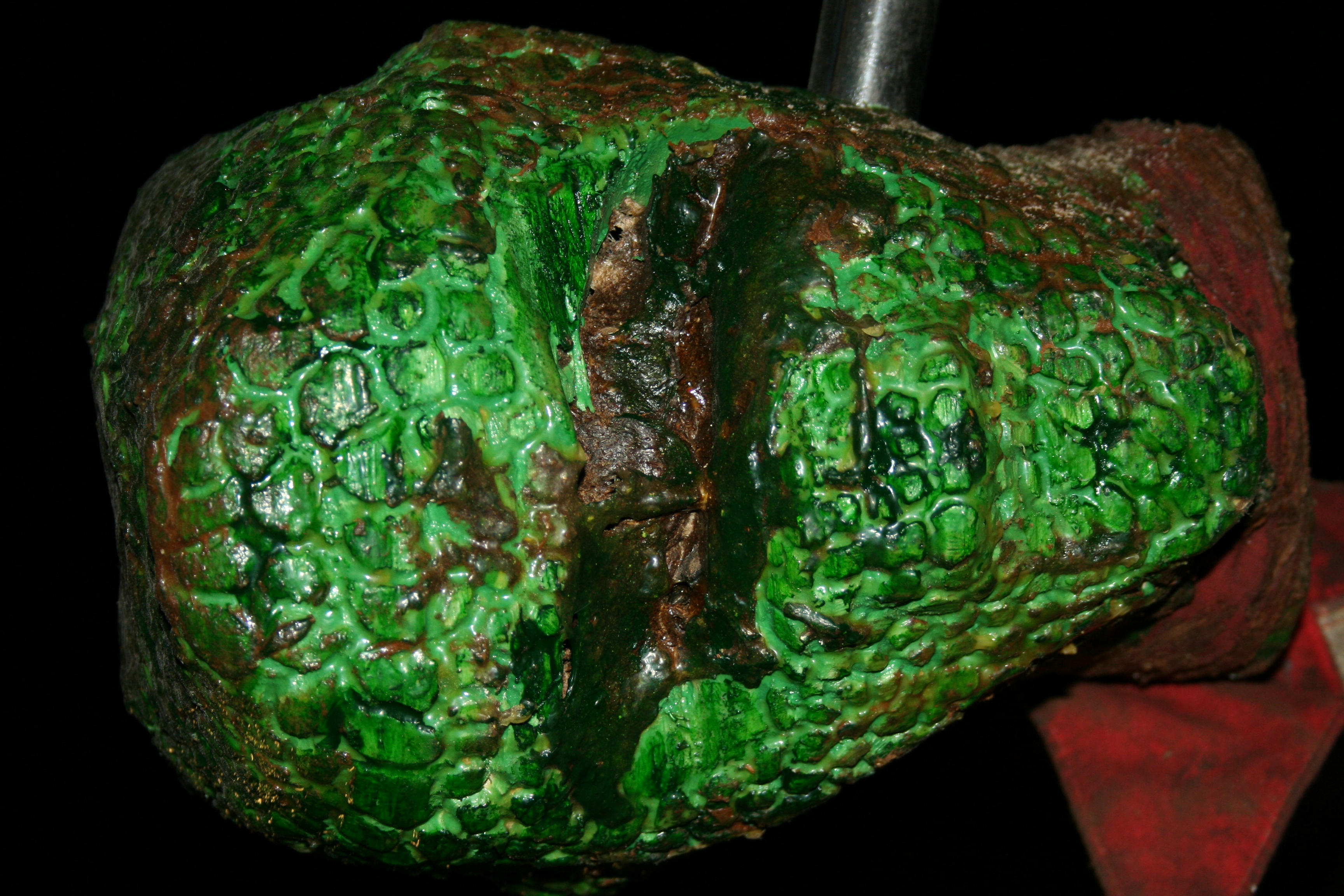 Reptoid detached self-examination — image 4 of 4