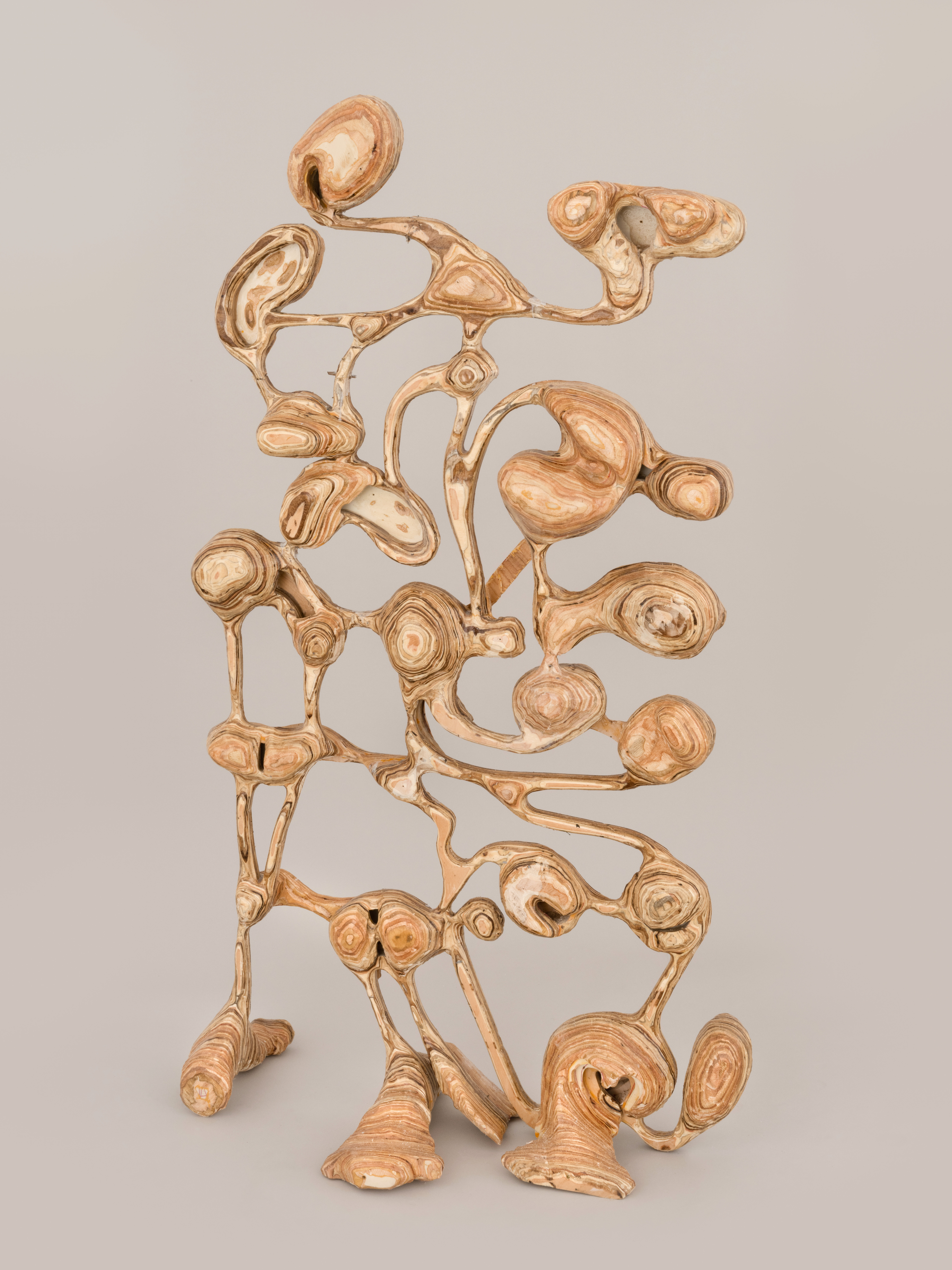 Naturally grown room divider