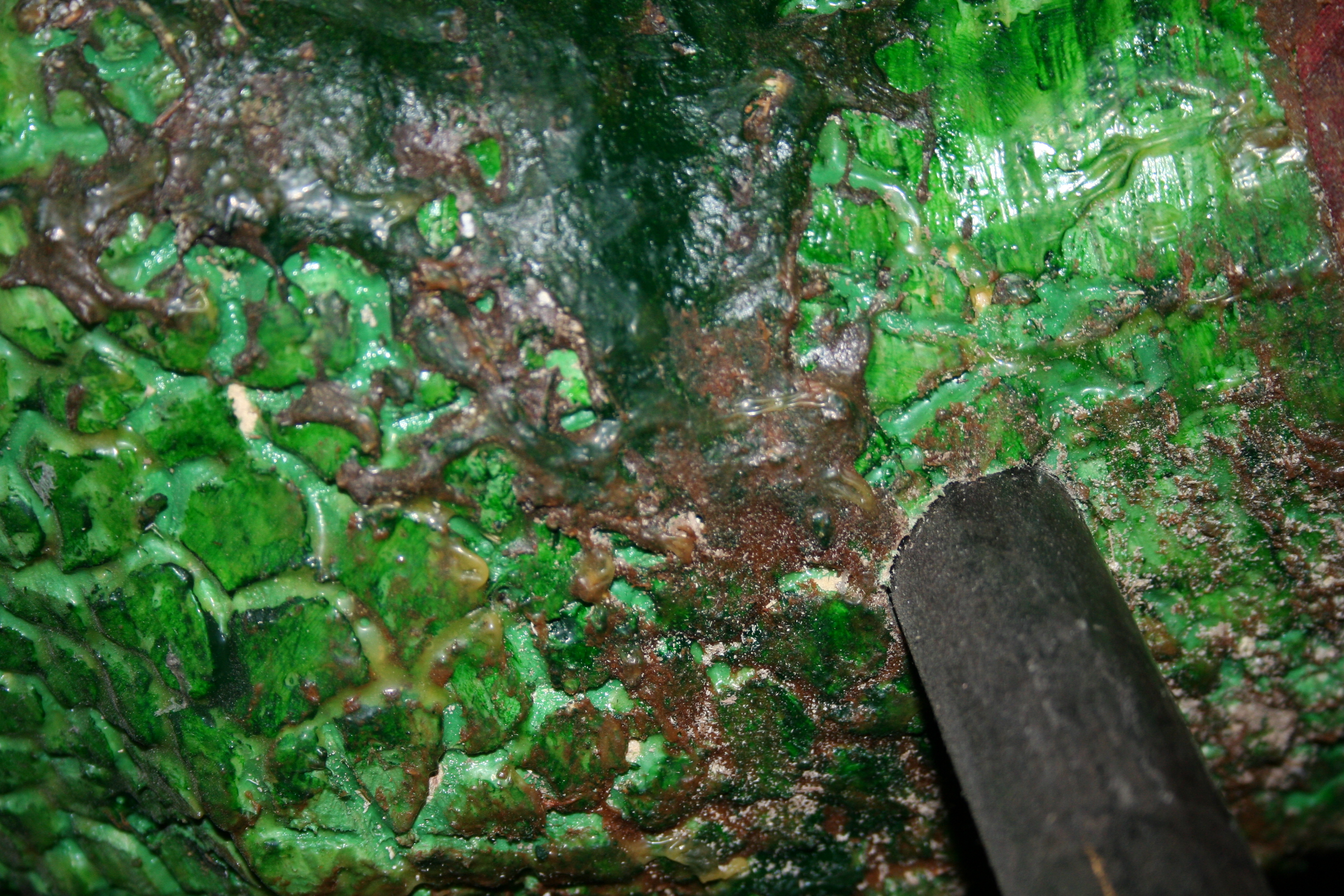 Reptoid detached self-examination — image 3 of 4